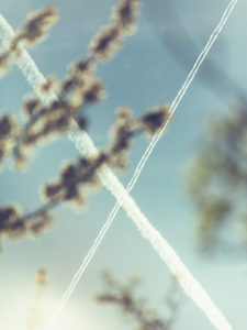 Nature details, branches, out of focus in the foreground, sky, contrails of two planes cross Nature details, branches, out of focus in the foreground, sky, contrails of two planes cross